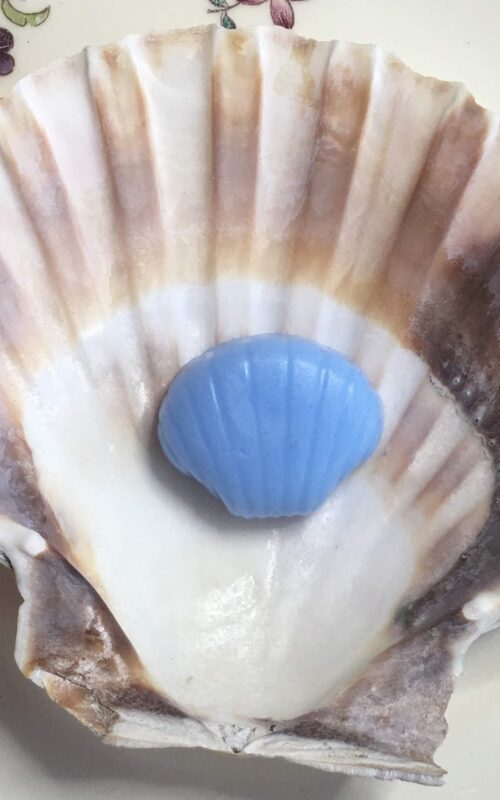 zeepje: schelp 4