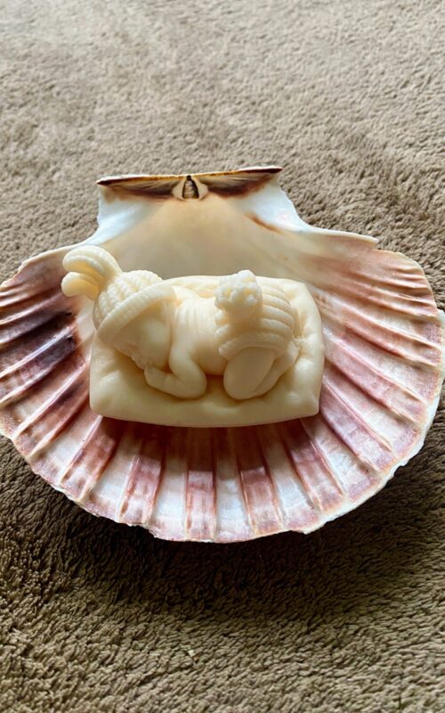 Baby zeepje op schelp